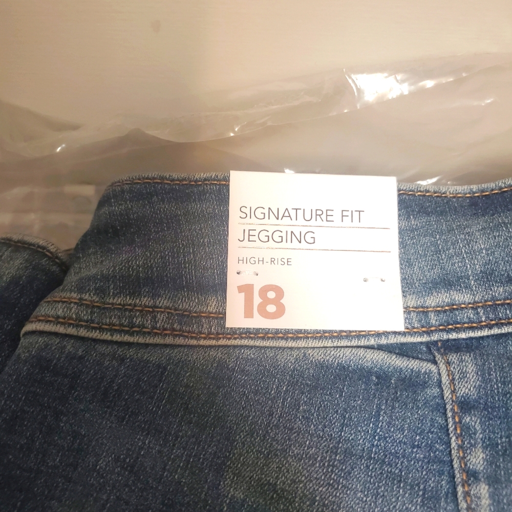 Lane Bryant Signature Fit Jegging - Size 18